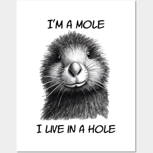 Mole In A Hole Posters and Art